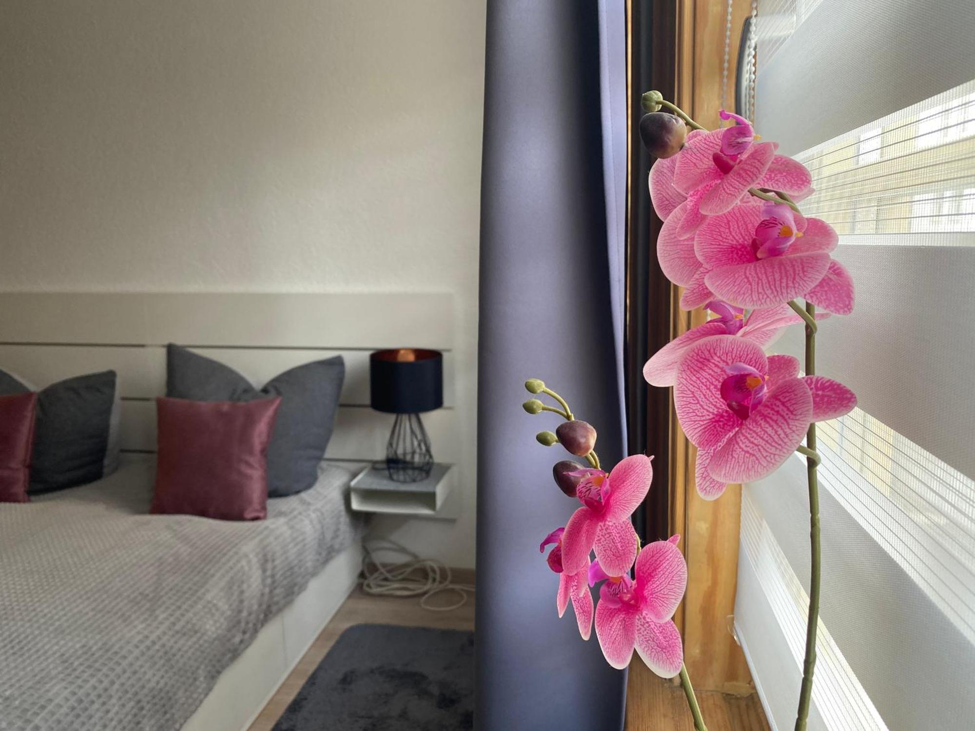 Ferienwohnungen Clara Arnstadt Extérieur photo